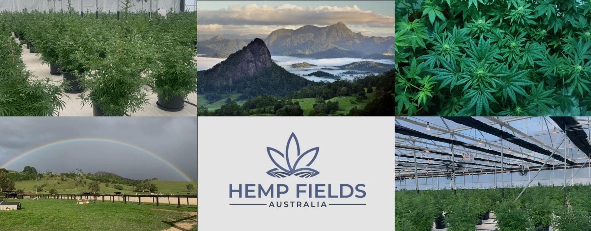 hemp-fields - Gallery Image 2