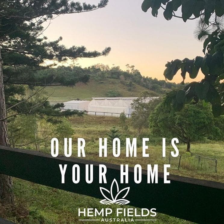 hemp-fields - Gallery Image 5