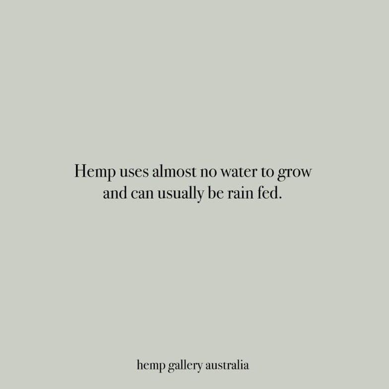 hemp-gallery - Gallery Image 3