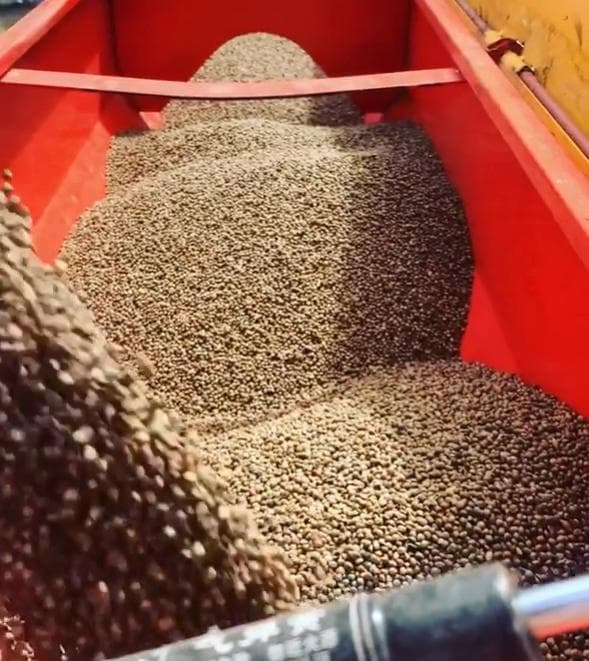 hemp-homes-australia - Gallery Image 4