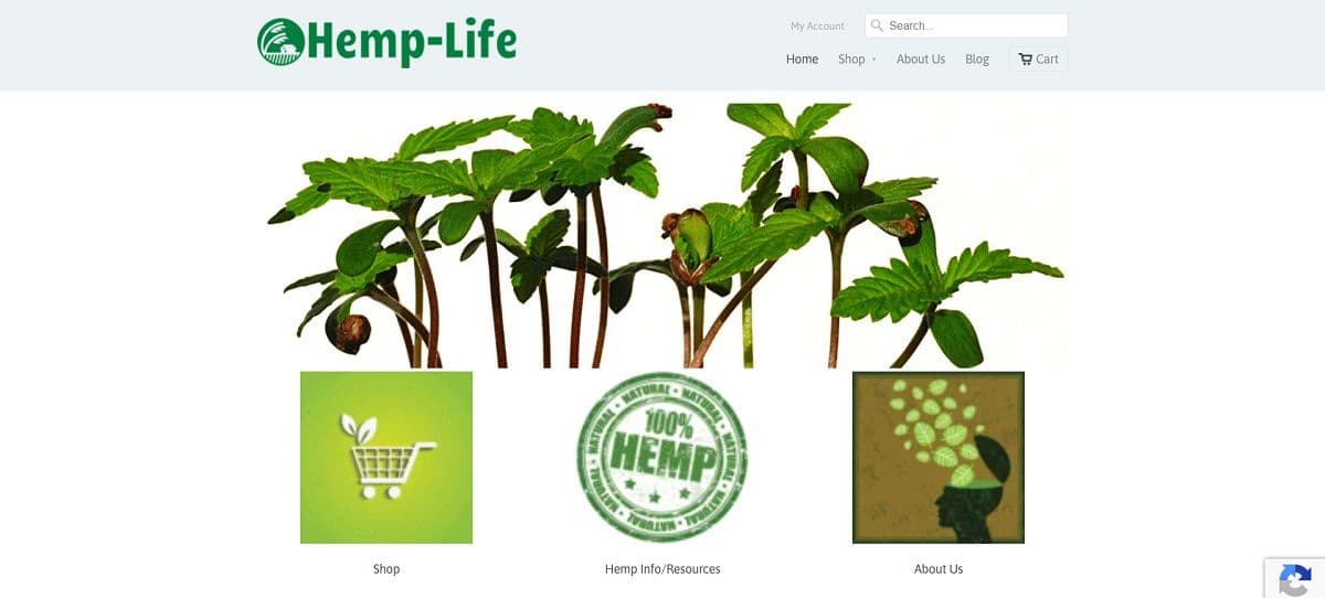 hemp-life - Gallery Image 3