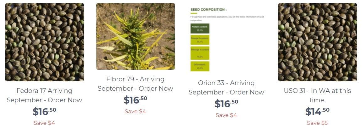 hempgro - Gallery Image 2