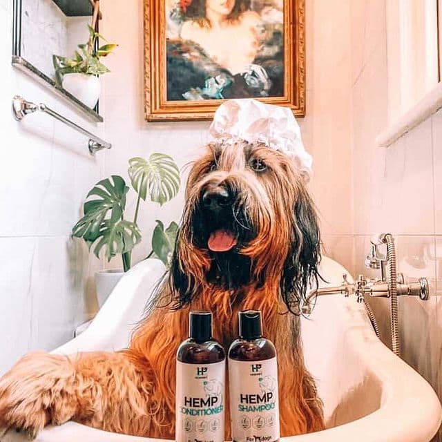 hemppet - Gallery Image 2