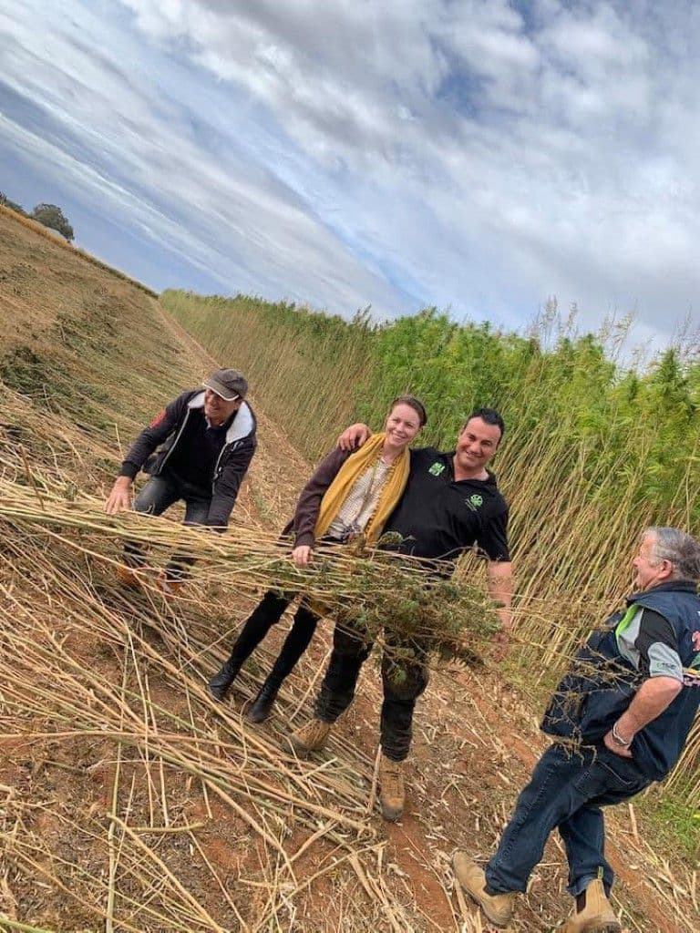 ihemp-victoria - Gallery Image 2