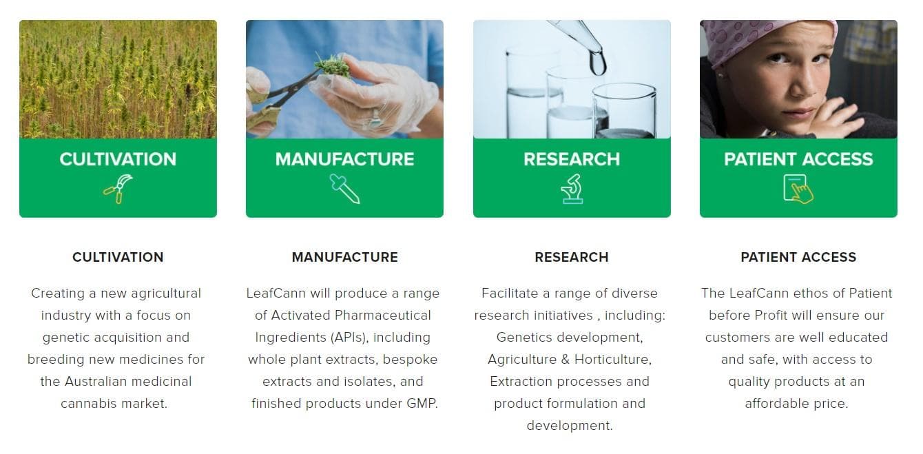 leafcann - Gallery Image 2