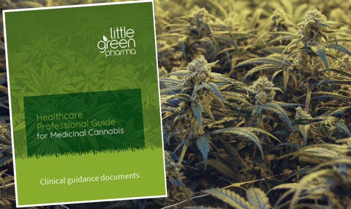 little-green-pharma - Gallery Image 3