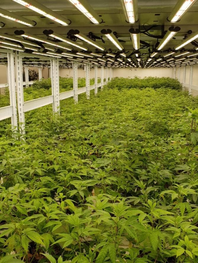 medcan - Gallery Image 1