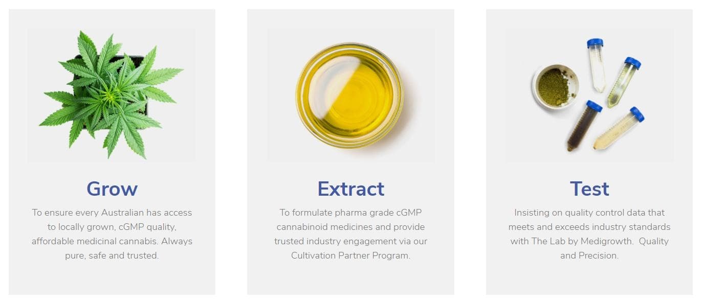 medigrowth - Gallery Image 2