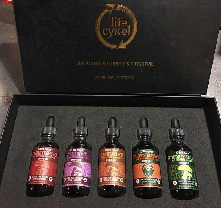 nimbin-hemp-embassy - Gallery Image 4