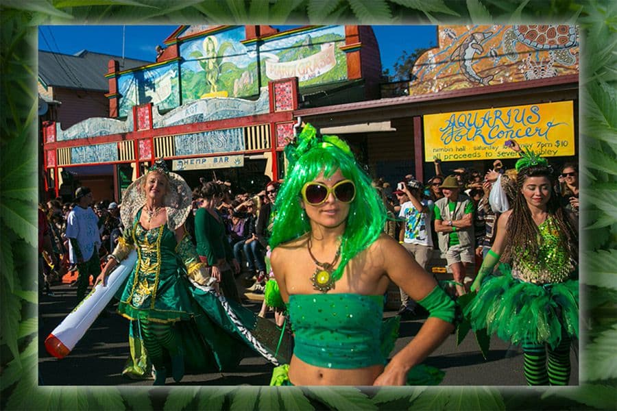 nimbin-hemp-embassy - Gallery Image 5