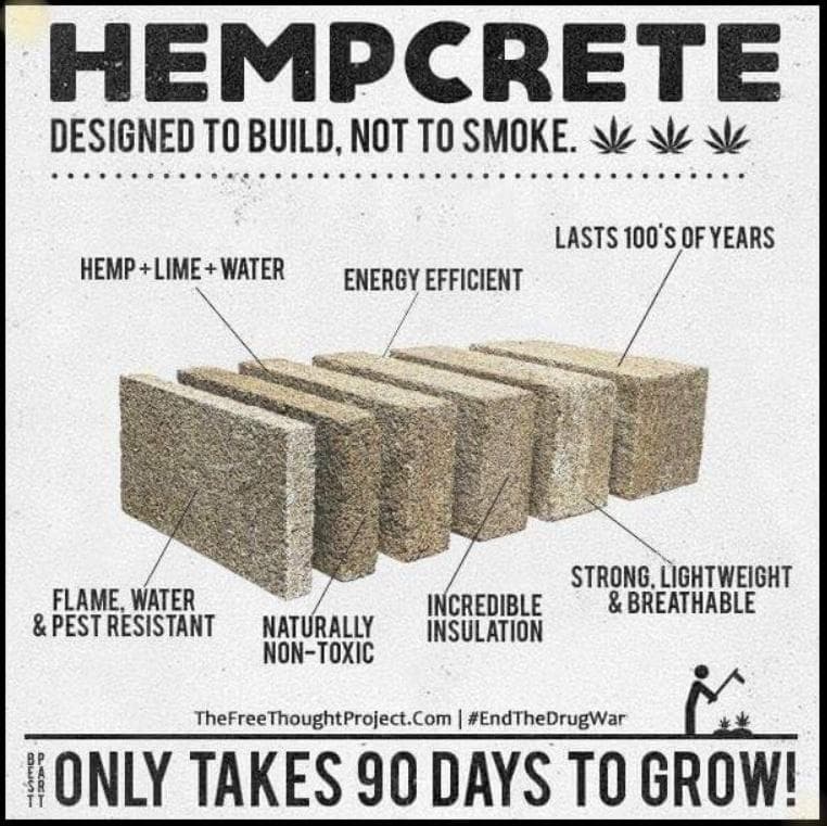 ozhemp - Gallery Image 2