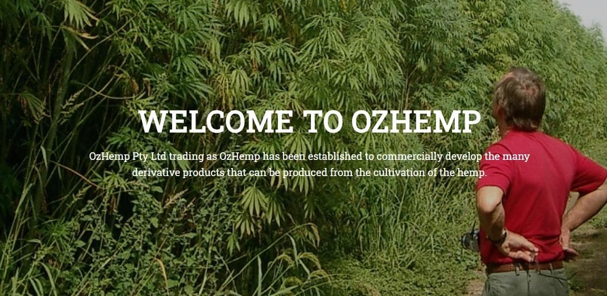 ozhemp - Gallery Image 4