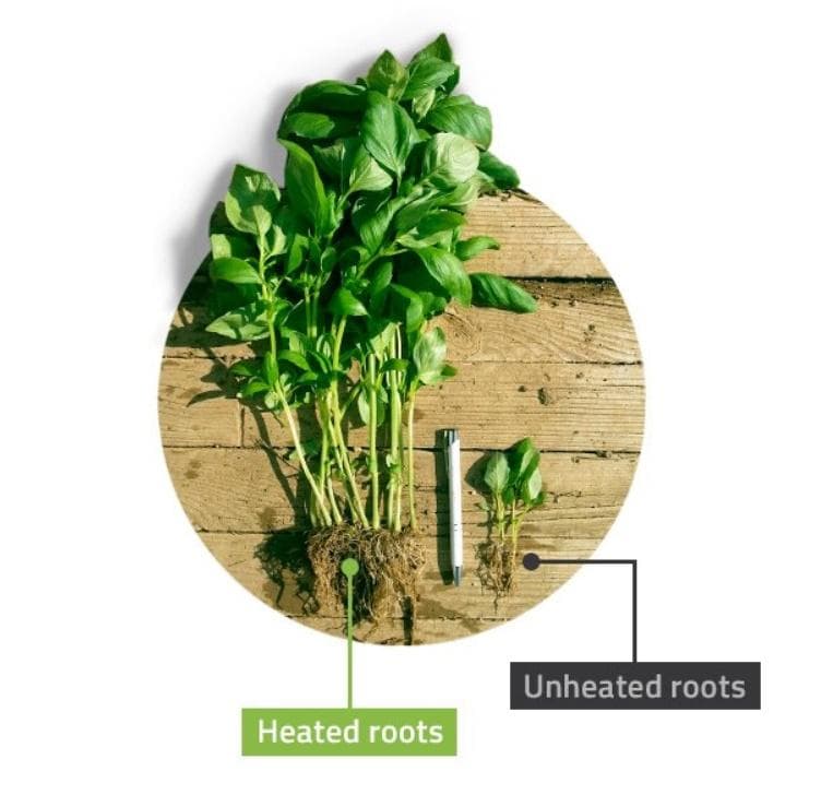 roots-sustainable - Gallery Image 3