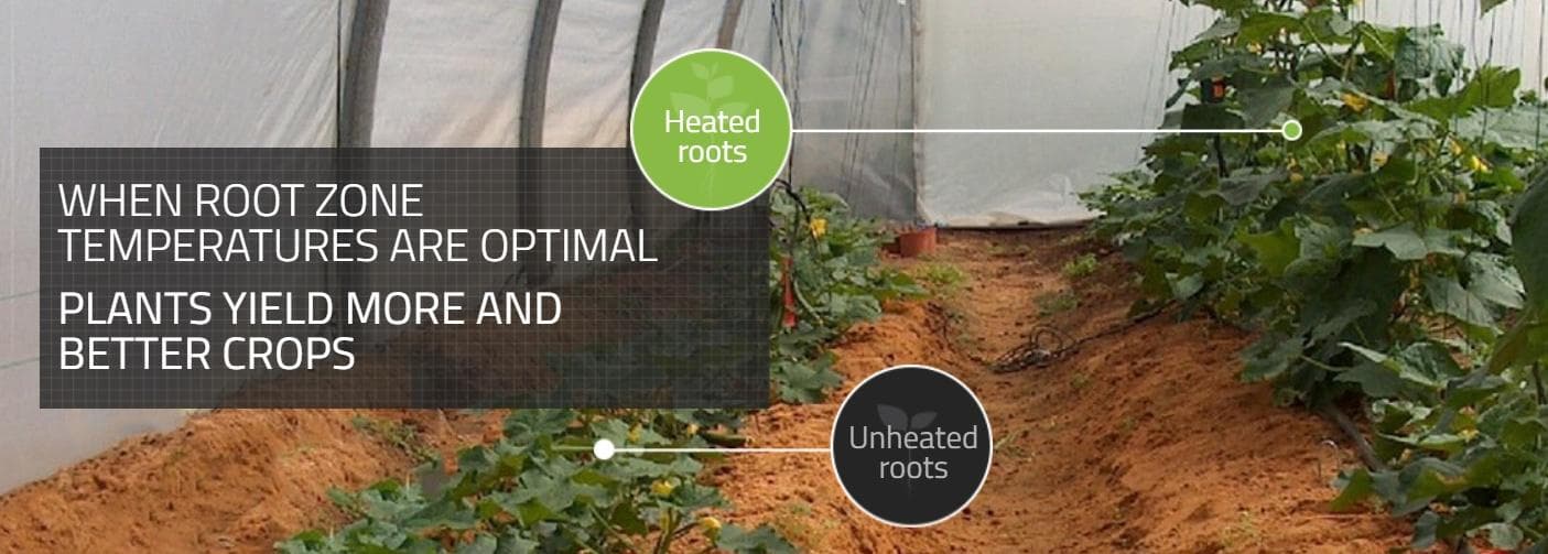 roots-sustainable - Gallery Image 4