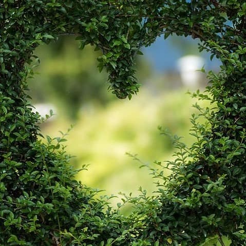 satinca - Gallery Image 3