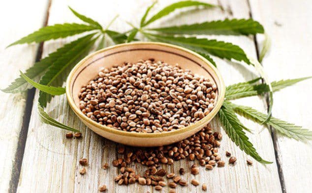 sativa-skincare - Gallery Image 2