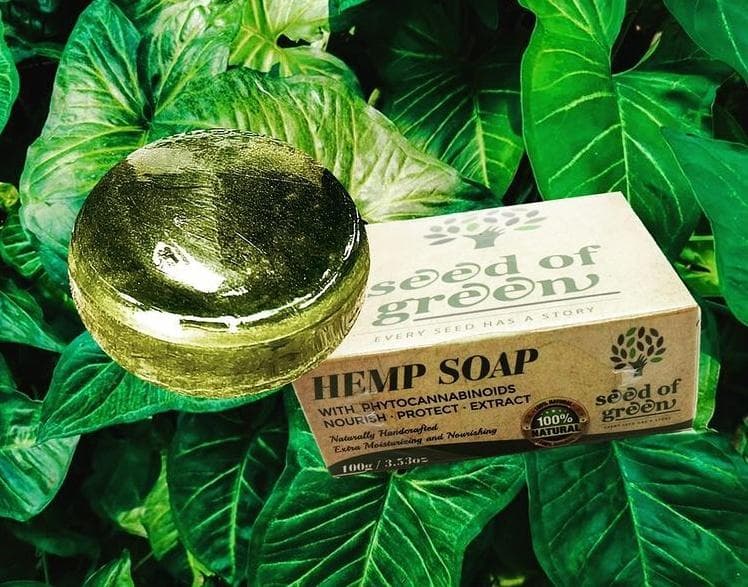 seed-of-green - Gallery Image 3