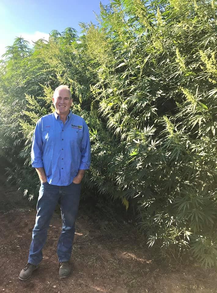 southern-hemp - Gallery Image 1