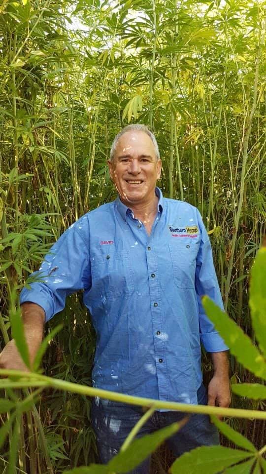 southern-hemp - Gallery Image 3