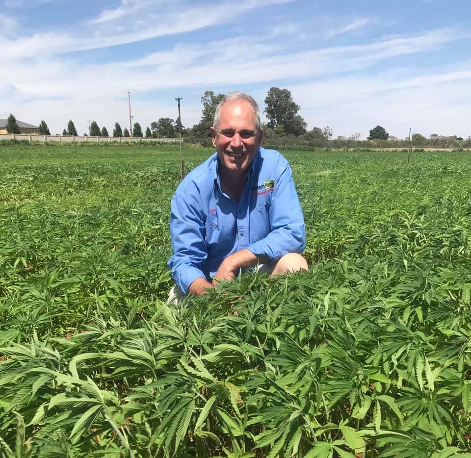 southern-hemp - Gallery Image 4