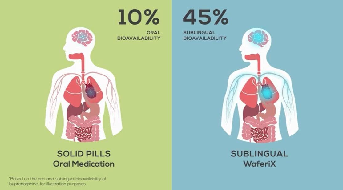 syrinx-pharmaceuticals - Gallery Image 3