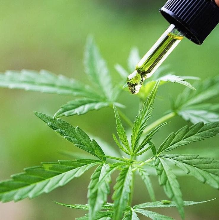 tetra-health - Gallery Image 3