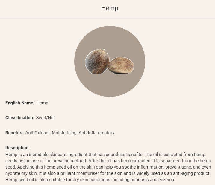 the-good-oil - Gallery Image 3