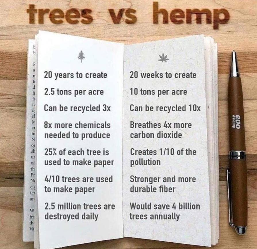 the-hemp-building-company - Gallery Image 3