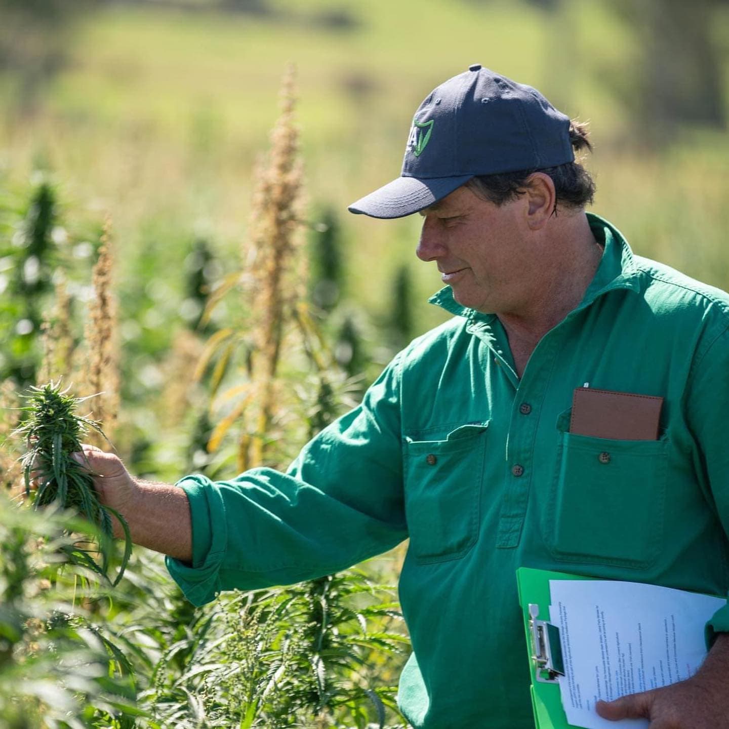 the-tassie-hemp-shop - Gallery Image 2