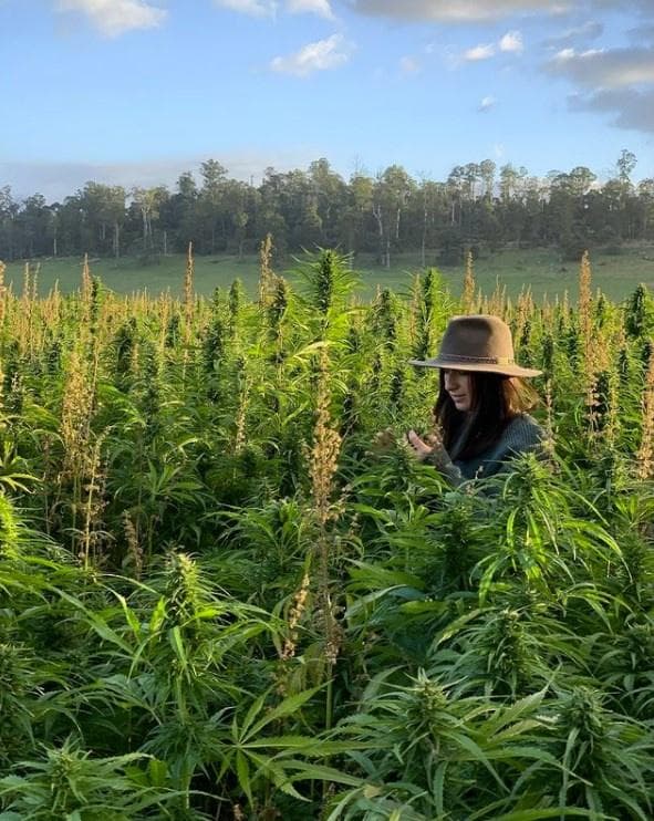 the-tassie-hemp-shop - Gallery Image 4