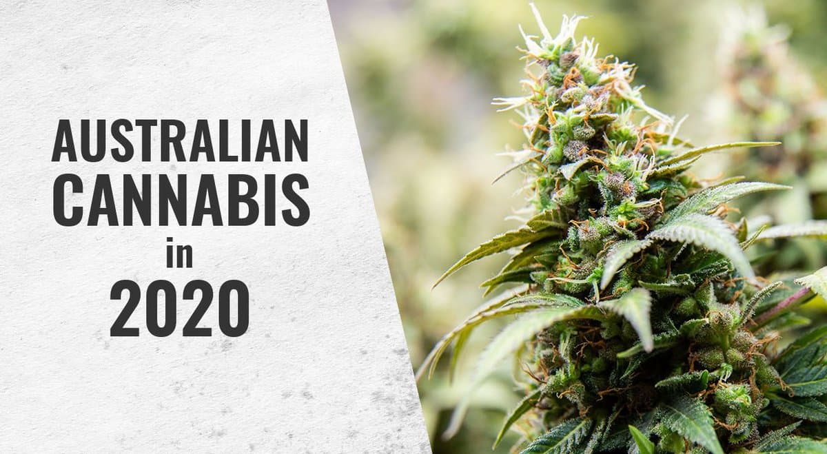 Cannabis in Australia - 2020 recap