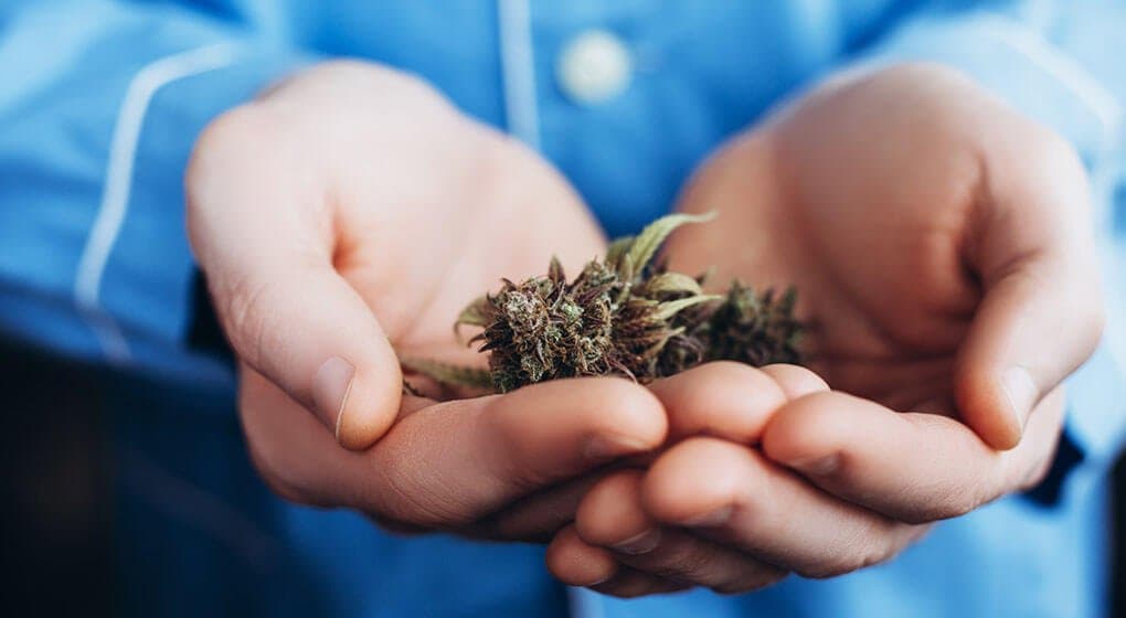 Cannabis Tourism In Australia: Is It A Thing?