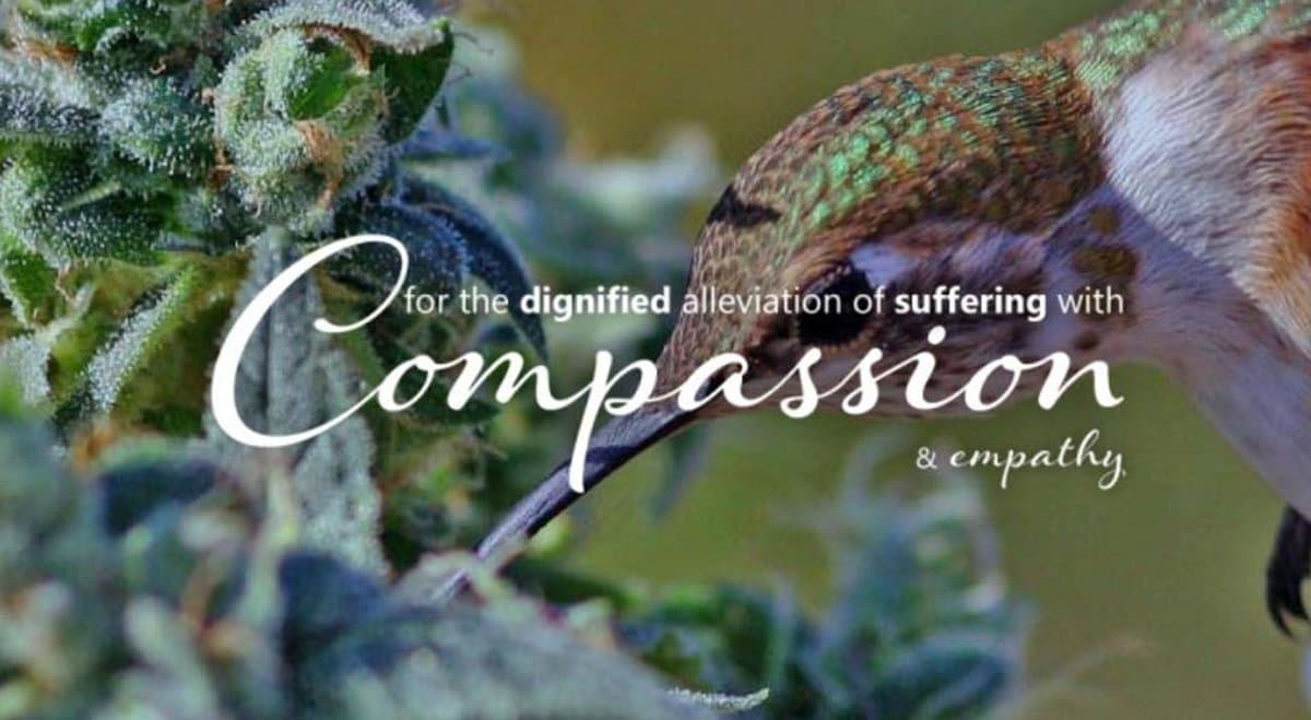 Inside Australia's 2021 Medical Cannabis Symposium