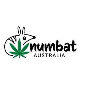 Numbat Australia