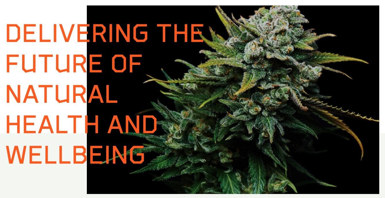 australian-natural-therapeutics-group-antg - Gallery Image 2