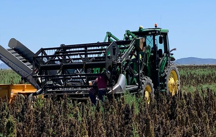 botanic-wellness-limited - Gallery Image 1