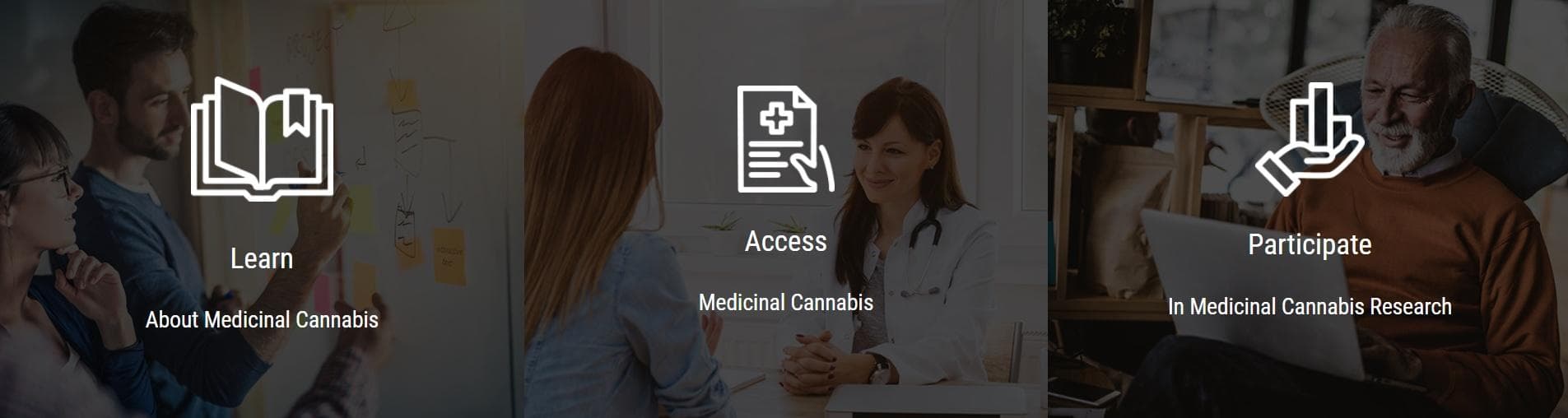 c4e-cannabis-4-epilepsy - Gallery Image 3