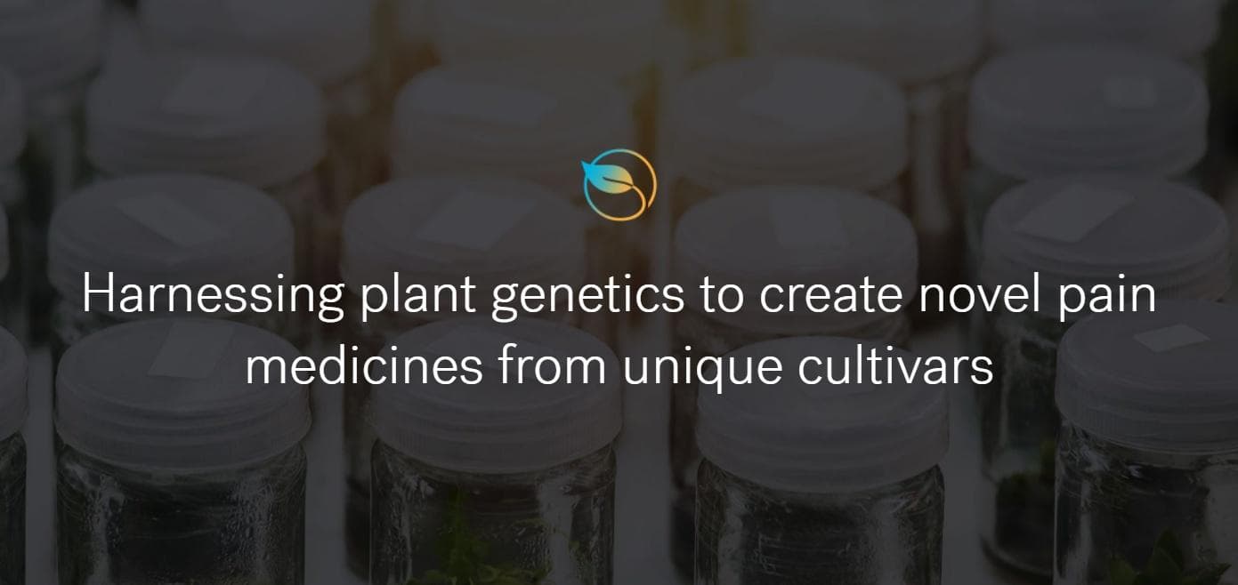 cymra-life-sciences - Gallery Image 2