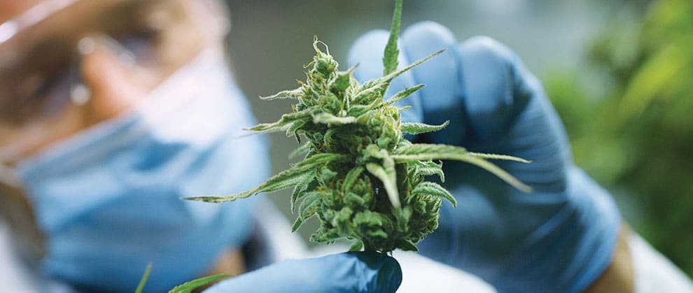 health-house-international - Gallery Image 2