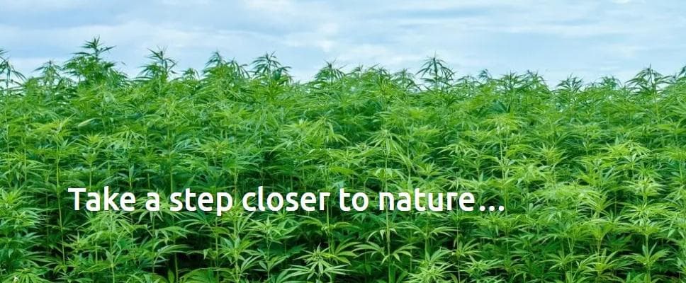 hemp-block-australia - Gallery Image 1