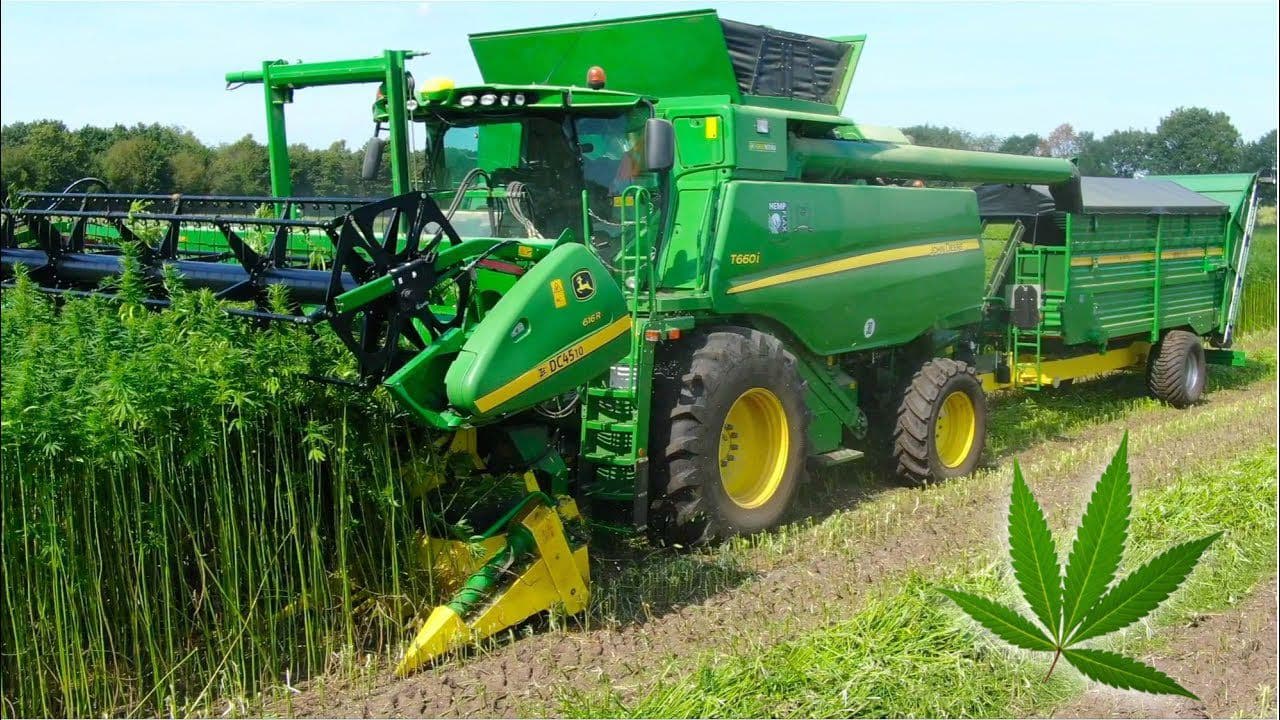 industrial-hemp-association-nsw-ihansw - Gallery Image 3