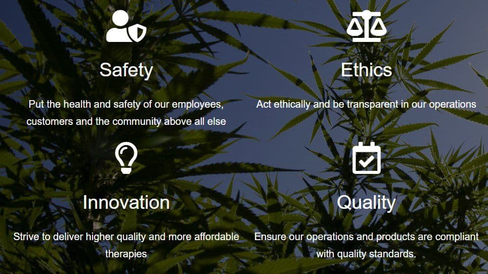 murray-meds - Gallery Image 3