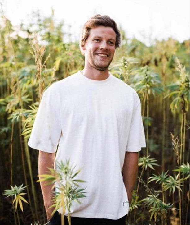 numbat-australia - Gallery Image 2