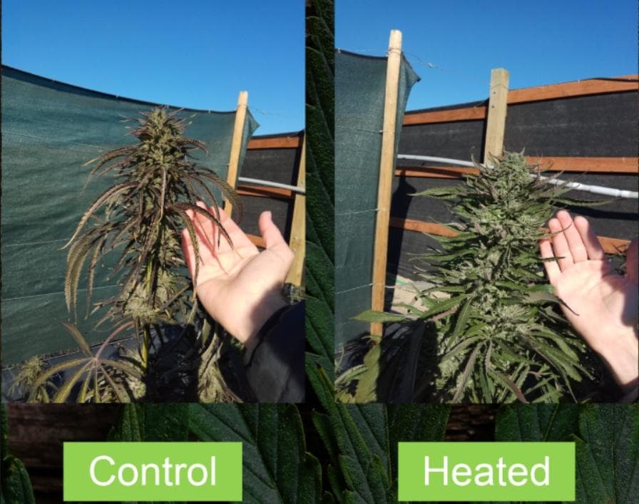 roots-sustainable - Gallery Image 1