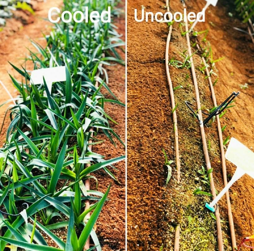 roots-sustainable - Gallery Image 2