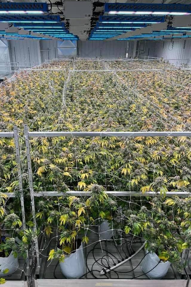 spring-sciences - Gallery Image 1