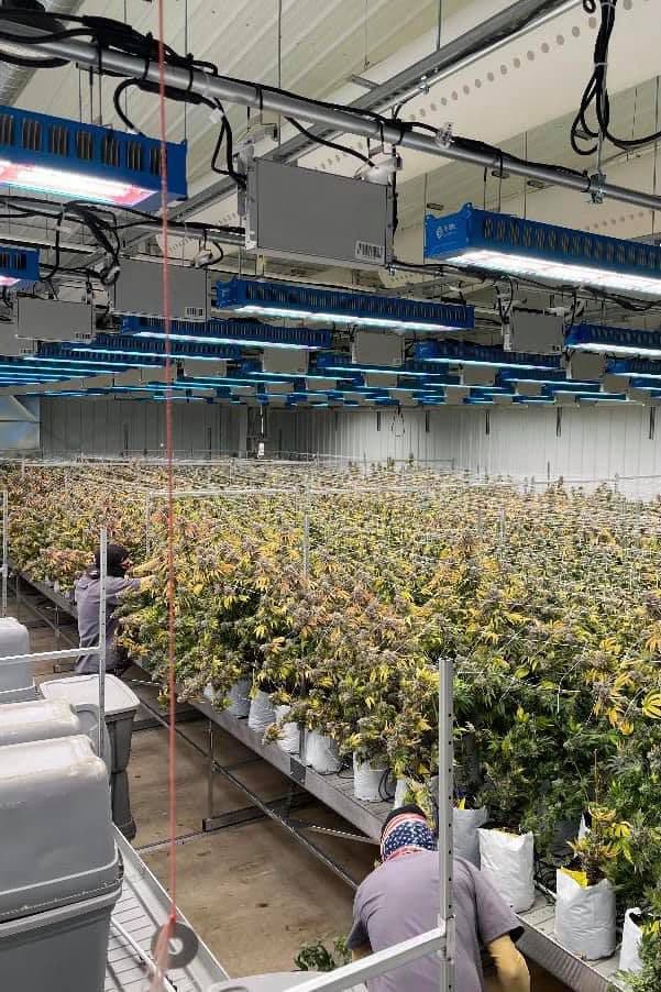 spring-sciences - Gallery Image 2