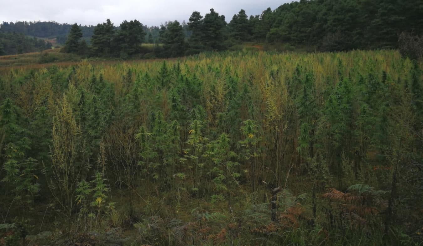 stemcell-united - Gallery Image 1