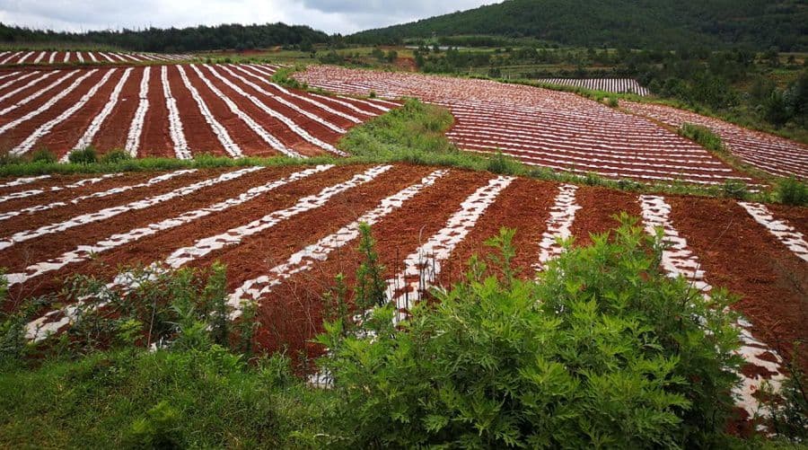 stemcell-united - Gallery Image 3