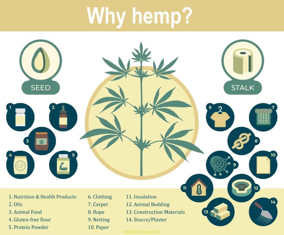 the-australian-hemp-masonry-company - Gallery Image 2